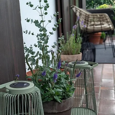 Alpenblick 17 - Chiemgau Karte Appartement *